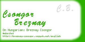 csongor breznay business card